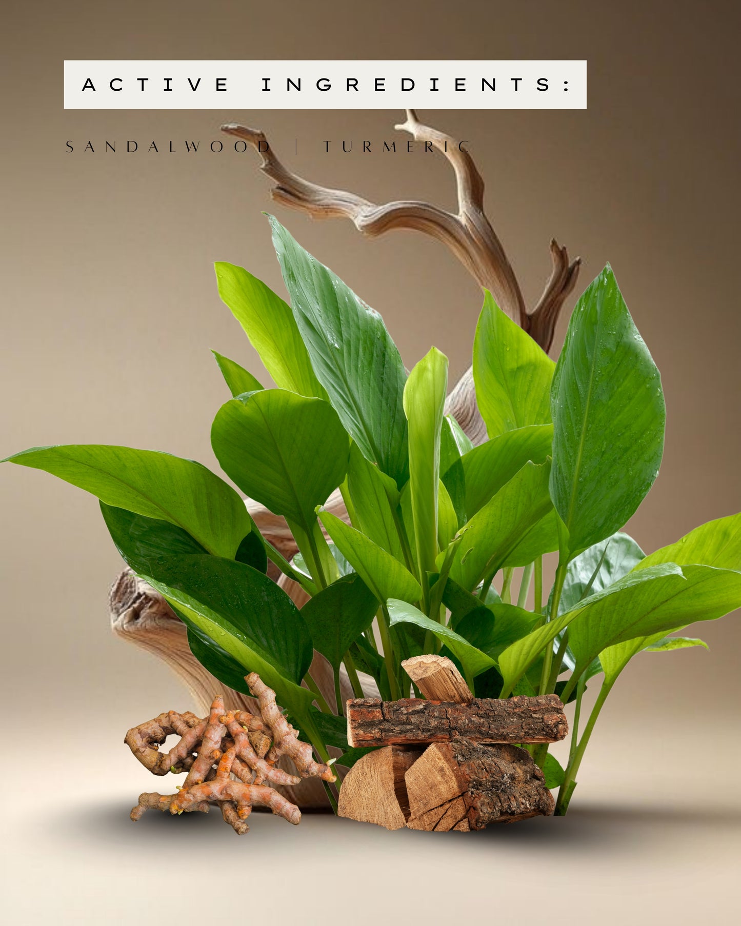 Sandalwood & Turmeric oil