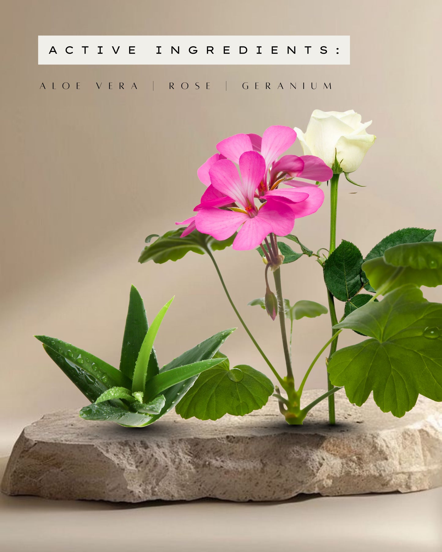 Aloe Vera & Rose Geranium body gel