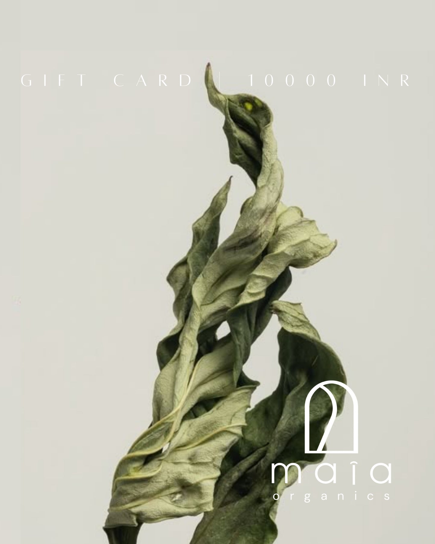 Gift card | 10000 inr